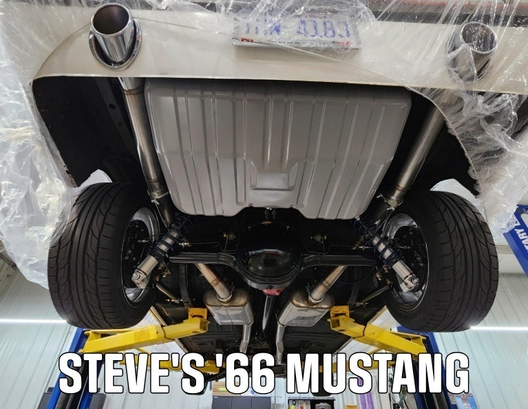 Steve